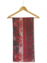 Agha Noor Organza Dupatta